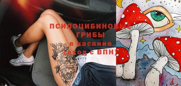 МДПВ Верхний Тагил