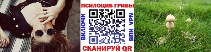 Галлюциногенные грибы мухоморы Назарово