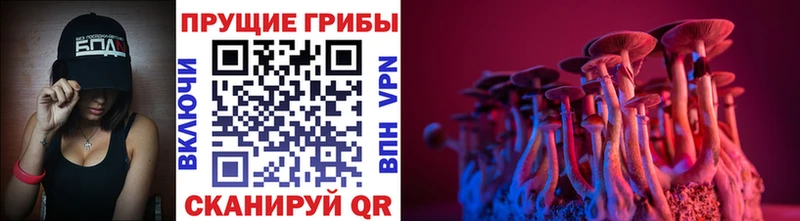 Галлюциногенные грибы Magic Shrooms  наркота  mega сайт  Назарово 